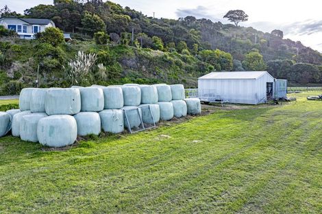 Photo of property in 22 Sheehan Street, Bay View, Napier, 4104