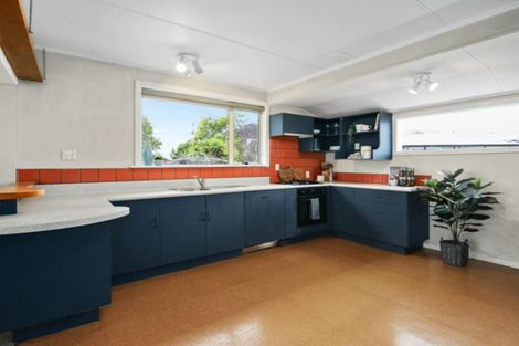 Photo of property in 17 Macey Crescent, Witherlea, Blenheim, 7201