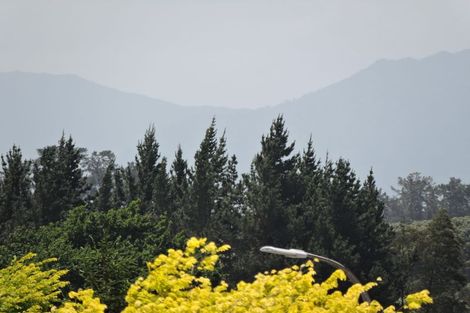 Photo of property in 7c Church Street, Tirau, 3410