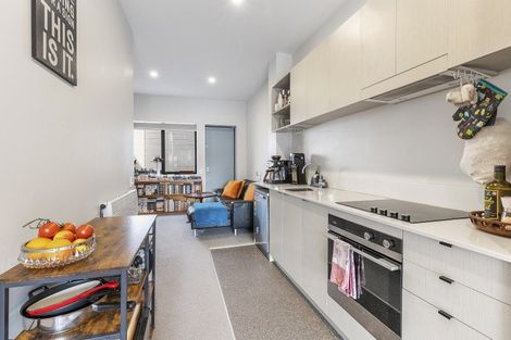 Photo of property in Aniva Terrace, 14 Arney Street, Newtown, Wellington, 6021