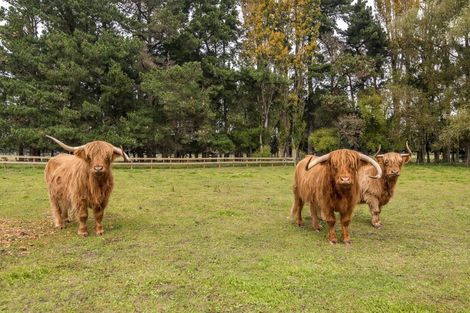 Photo of property in 58 Greenpark Road, Lincoln, Christchurch, 7672