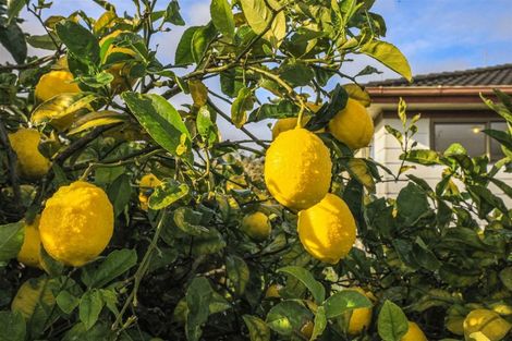 Photo of property in 17 Fairmont Street, Ngaruawahia, 3720