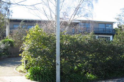 Photo of property in 45 Tanner Street, Havelock North, 4130