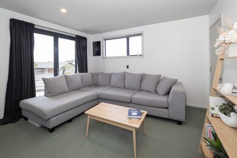 Photo of property in 55 Ludlow Drive, Huntingdon, Ashburton, 7774