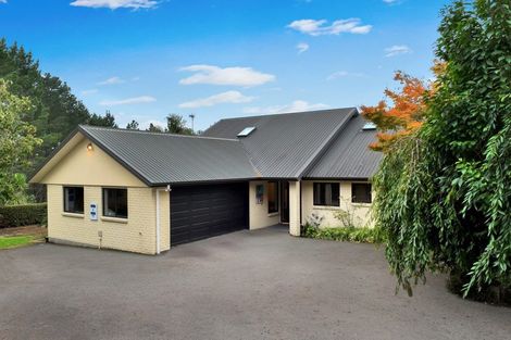 Photo of property in 14 Tupelo Place, Ohauiti, Tauranga, 3112
