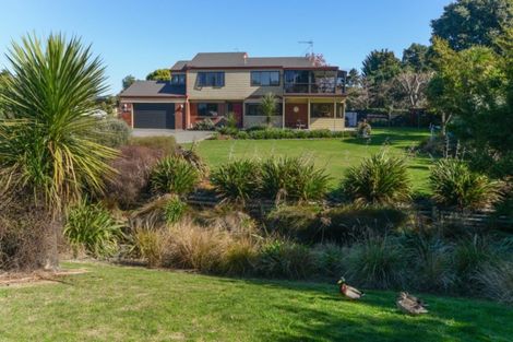 Photo of property in 118 York Avenue, Greenmeadows, Napier, 4112