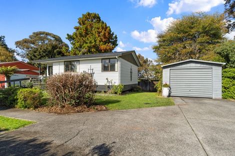 Photo of property in 45a Hibiscus Avenue, Hamilton Lake, Hamilton, 3204