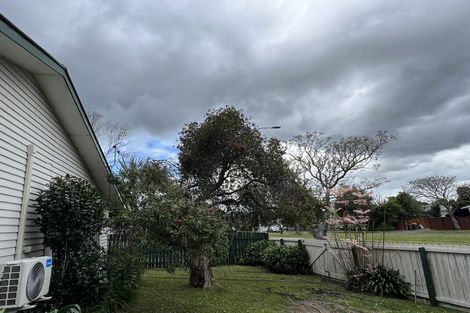 Photo of property in 56 Universal Drive, Henderson, Auckland, 0610