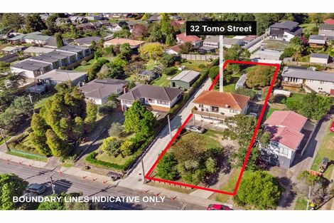 Photo of property in 32 Tomo Street, New Lynn, Auckland, 0600