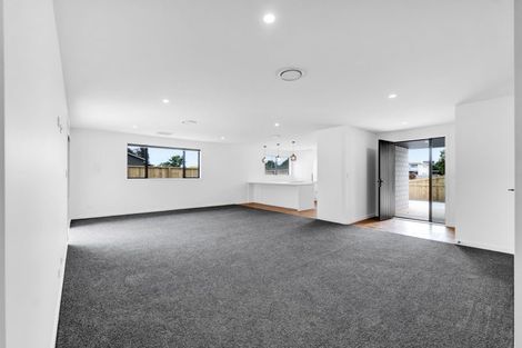 Photo of property in 119a Hamlet Street, Stratford, 4332