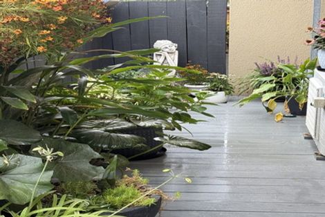 Photo of property in 438f Tristram Street, Whitiora, Hamilton, 3200