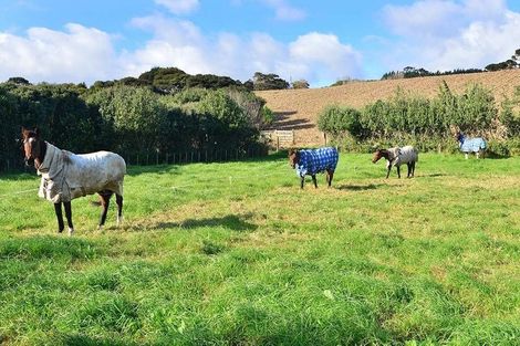 Photo of property in 3265 South Head Road, South Head, Helensville, 0874