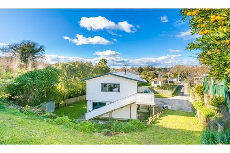 Photo of property in 20 Johnson Street, Dinsdale, Hamilton, 3204