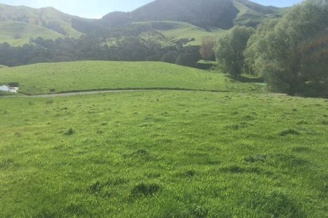 Photo of property in 360 Longbush Road, Hinakura, Longbush, 5884