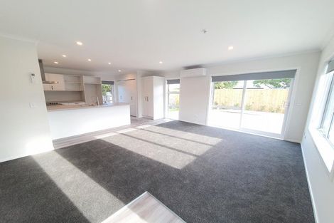 Photo of property in 39a Fairs Road, Milson, Palmerston North, 4414
