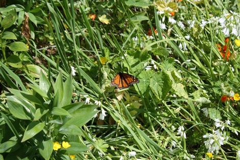 Photo of property in 413 Parawai Road, Thames, 3500