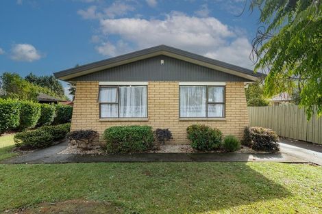 Photo of property in 41 Winstone Avenue, Chartwell, Hamilton, 3210