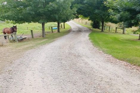 Photo of property in 17 Solway Street, Holmes Hill, Oamaru, 9401