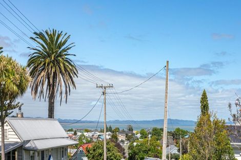 Photo of property in 500 Augustus Street North, Thames, 3500