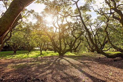 Photo of property in 38 Vernon Road, Minden, Tauranga, 3171