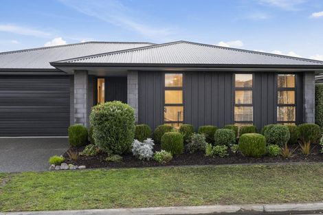 Photo of property in 4 Muddle Lane, Pyes Pa, Tauranga, 3112