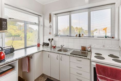 Photo of property in 1 Fergusson Street, Springvale, Whanganui, 4501