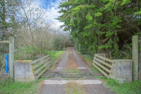 Photo of property in 95 Mcwhas Road, Dunsandel, Leeston, 7682