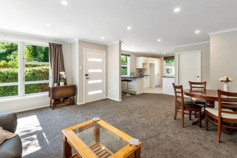 Photo of property in 46a Palatine Terrace, Saint Martins, Christchurch, 8022