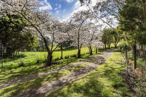 Photo of property in 804 Oxford Road, Fernside, Rangiora, 7471