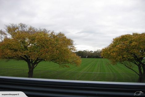 Photo of property in 16 Freyberg Street, Roslyn, Palmerston North, 4414