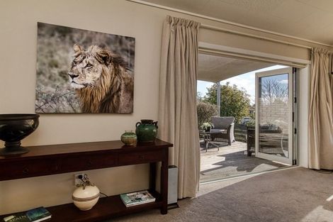 Photo of property in 13 Everest Avenue, Havelock North, 4130
