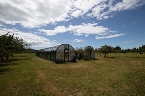 Photo of property in 421 Main Rd Riwaka, Riwaka, Motueka, 7198