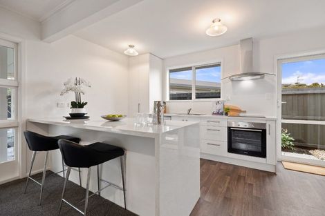 Photo of property in 29 Erica Street, Papanui, Christchurch, 8053