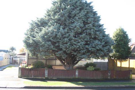 Photo of property in 36 Rutherford Road, Marewa, Napier, 4110