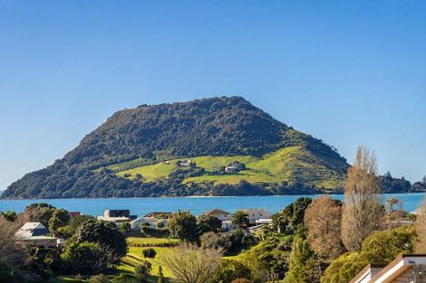 Photo of property in 31 Hillcrest Road, Otumoetai, Tauranga, 3110