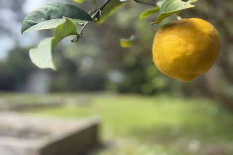 Photo of property in 8 The Avenue, Otaki Beach, Otaki, 5512