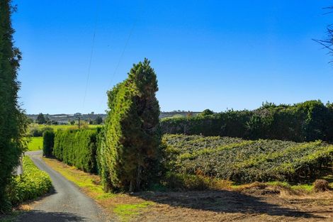Photo of property in 31 Clark Cross Road, Otara, Opotiki, 3197