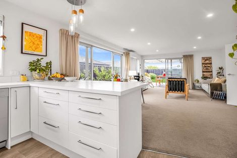 Photo of property in 65 Zabeel Street, Lincoln, 7608