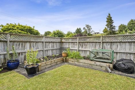 Photo of property in 5 Bronte Place, Leamington, Cambridge, 3432