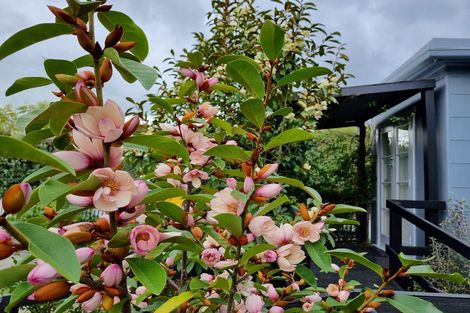 Photo of property in 120 Queen Sh25 Street, Thames, 3500