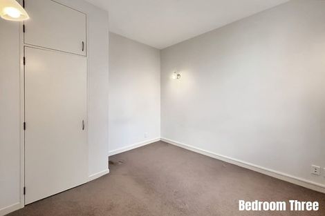 Photo of property in 207 Tasman Street, Mount Cook, Wellington, 6021