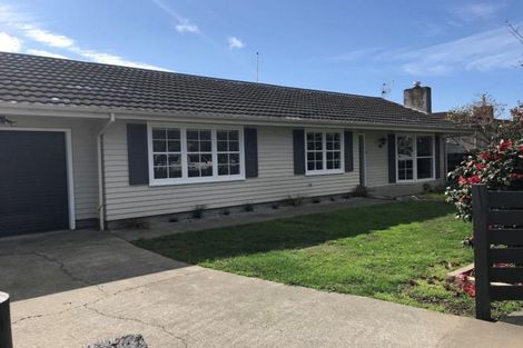 Photo of property in 58 Te Aute Road, Havelock North, 4130