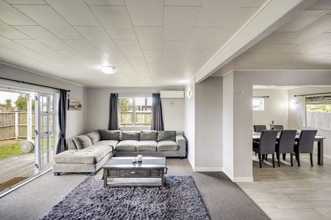 Photo of property in 43 Lanark Place, Tamatea, Napier, 4112