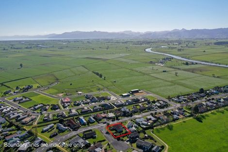 Photo of property in 43 Mahana Road, Ngatea, 3503