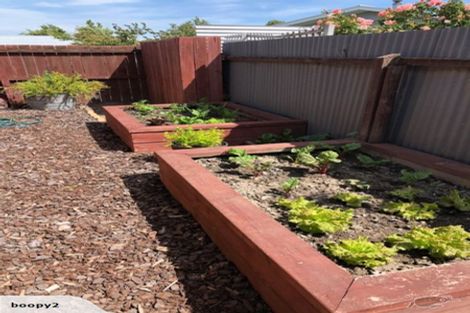 Photo of property in 59a Warwick Street, Mayfield, Blenheim, 7201