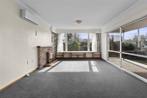 Photo of property in 38 Edinburgh Road, Hillcrest, Hamilton, 3216