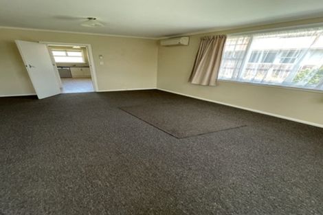 Photo of property in 19 Siddal Place, Richmond, Christchurch, 8013