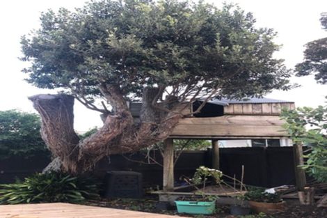 Photo of property in 3 Howe Street, North Dunedin, Dunedin, 9016