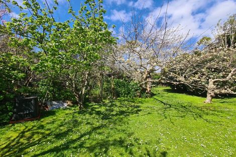 Photo of property in 2225 Tiki Sh25 Road, Preece Point, Coromandel, 3506