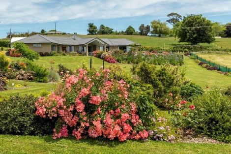 Photo of property in 515 Youngson Road, Whakamarama, Tauranga, 3179